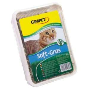 GIMCAT | HYDRO-GRAS ERBA PER GATTI 150G