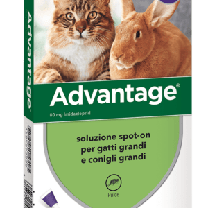 ADVANTAGE | Antiparassitario per gatti e conigli | >=4Kg