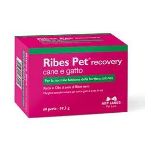 NBF LANES | RIBES PET RECOVERY CANE E GATTO 60prl