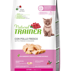 NATURAL TRAINER | POLLO | KITTEN