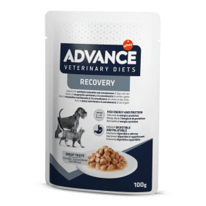 ADVANCE | Diete Veterinarie DOG/CAT | RECOVERY | UMIDO